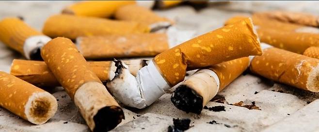 ▲담배꽁초. (사진=Ocean Care)