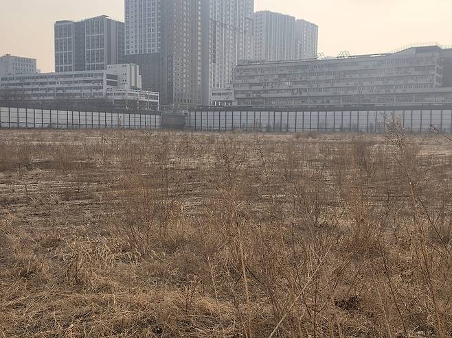 ▲세운4구역 현장 전경.  17일 국가유산청의 SH 고발 이후 중장비가 모두 철수하면서 잡초만 남은 채 공정이 멈춘 모습이다. 사진=장혜원 기자