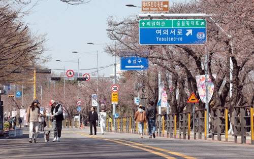 여의도봄꽃축제가 열린 2024년 3월 31일 서울 영등포구 여의도 윤중로 일대에 벚꽃의 개화가 늦어지면서 한산한 모습을 보이고 있다. (연합뉴스)
