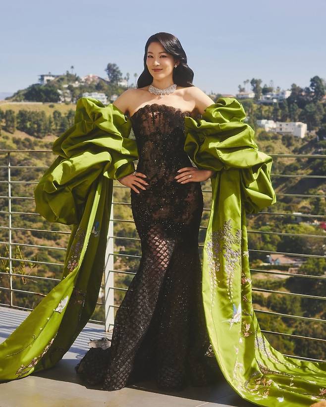 미스 소희(Miss Sohee)의 2026년 봄, 여름 쿠튀르 드레스를 입은 아덴 조. @arden_cho