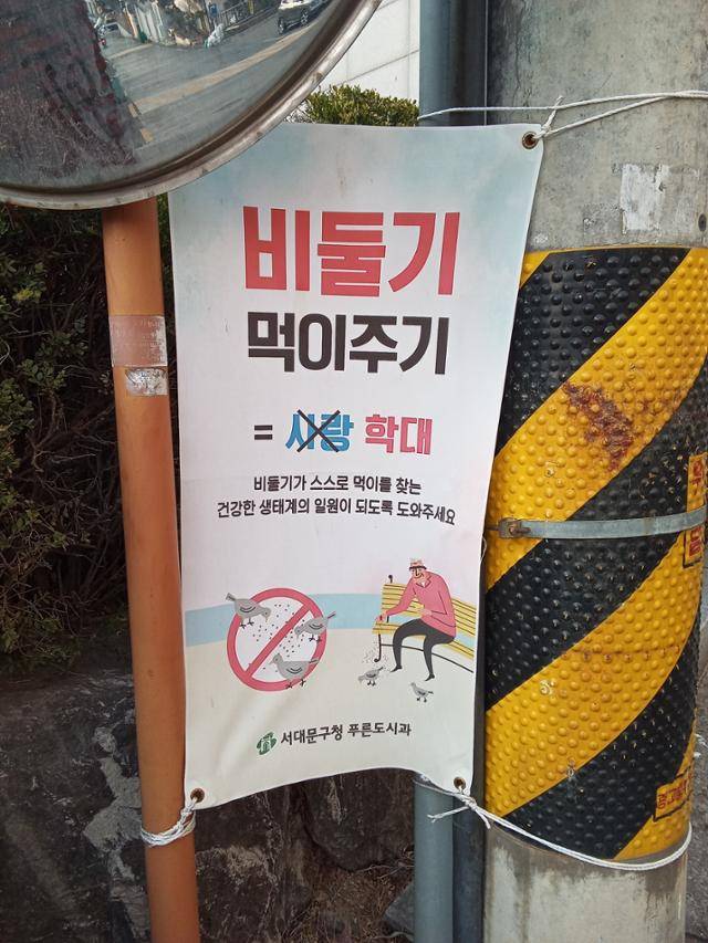 서울 서대문구 연희동 아파트 단지 인근 전봇대에 걸린 현수막에 '비둘기 먹이주기를 금지한다'는 내용이 적혀 있다. 하단에 부착자를 '서대문구청 푸른도시과'라고 밝혔다. 김산하 생명다양성재단 대표 제공