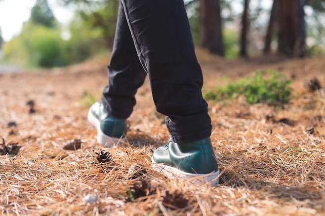 미국 노스웰 스태튼아일랜드대병원의 심장내과 과장인 미첼 웨인버그 박사는 "디지털 자극을 제거하고 조용한 환경에서 걸으면 신경계가 안정된다"며 "이 과정에서 코르티솔과 아드레날린 같은 스트레스 호르몬이 줄어들어 심장의 부담을 직접적으로 낮출 수 있다"고 말했다./사진=게티이미지뱅크