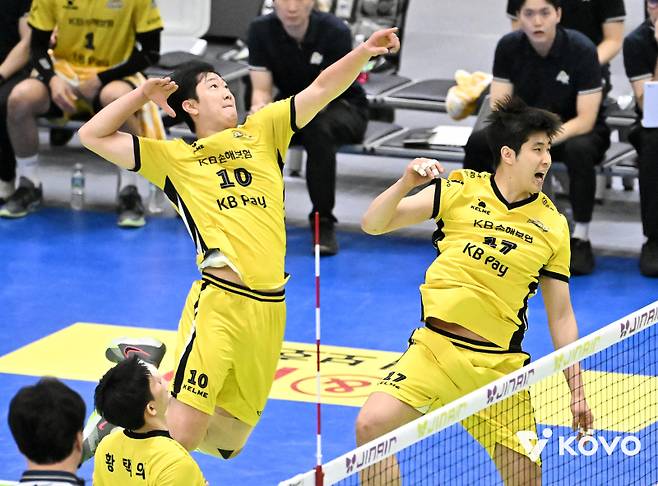 V리그 대표 공격수 나경복(32)이 부상 투혼을 발휘하며 소속팀 KB손해보험의 '봄배구' 진출을 이끌었다. 이제 그의 목표는 챔피언결정전 진출이다. 사진=KOVO
