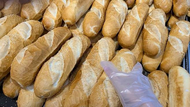 딱 봐도 파삭한 반미 빵.