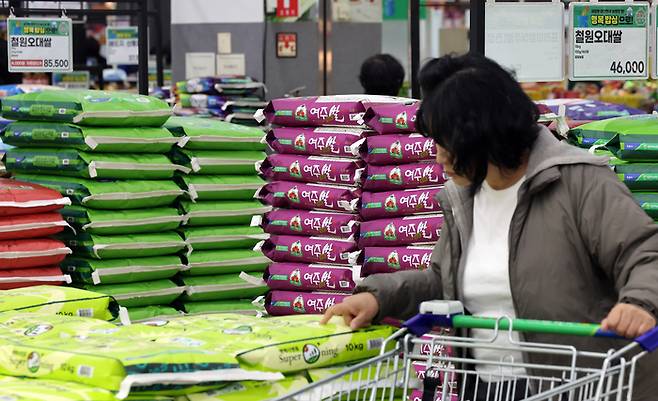 19일 서울 서초구 하나로마트 양재점을 찾은 고객이 쌀 상품을 살펴보고 있다. [뉴스1]