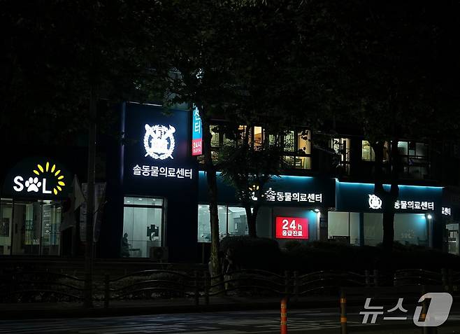 솔동물의료센터가 개원 10주년을 맞아 새단장을 했다(동물병원 제공). ⓒ 뉴스1