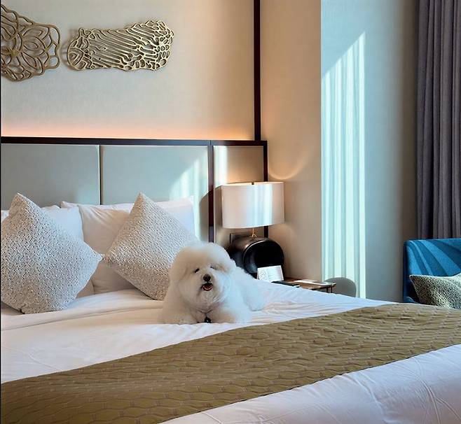 ⓒ서울드래곤시티