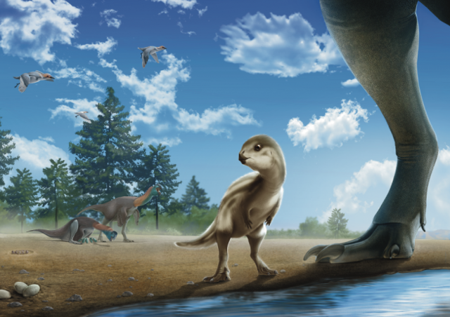 백악기 중기 한반도의 모습을 그린 상상도. 가운데에 있는 작은 공룡이 최근 전남 신안군에서 화석으로 발견된 신종 공룡 '둘리사우루스 허미니'다. 팔레오아티스트 이준성씨 제공