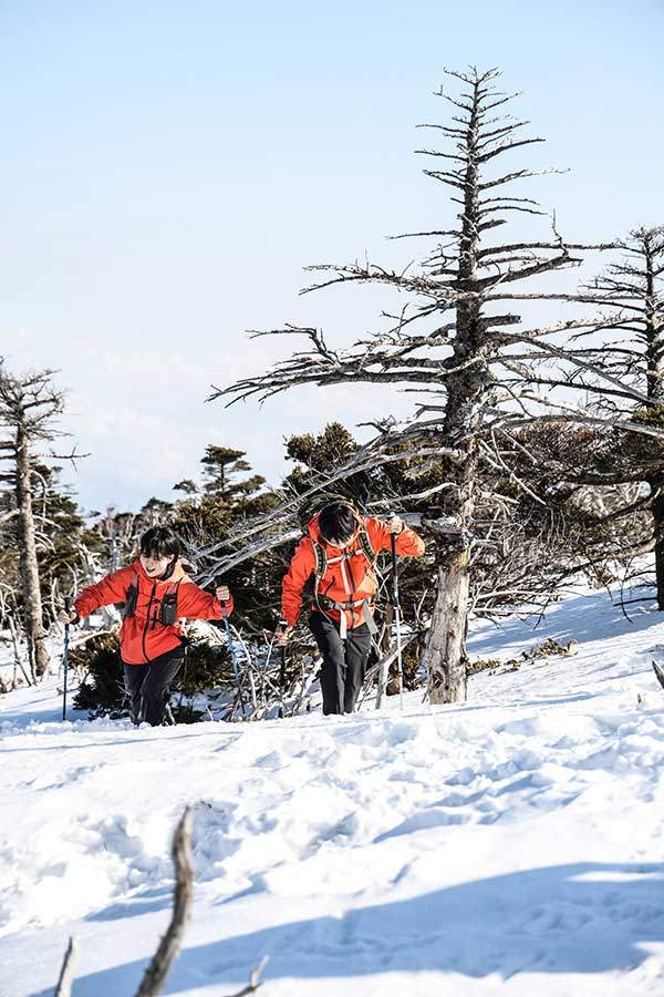 정상부근에는 눈이 아직 남았다. 한라산의 상징과도 같은 구상나무를 곳곳에서 볼 수 있었다.