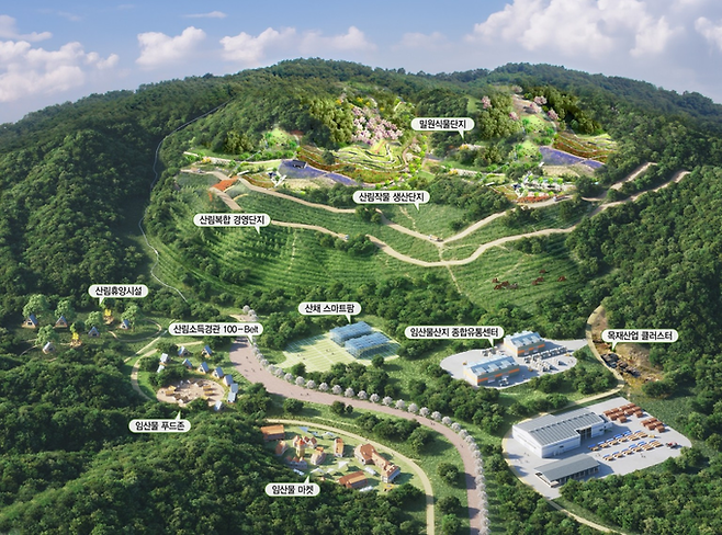 ▲ 4일 공개된 의성군 점곡면 동변리 산림경영특구 조성 계획도에서 산림작물 생산단지와 임산물 가공·유통시설, 복합경영단지 등이 배치된 모습이 표시돼 있다. 의성군 제공