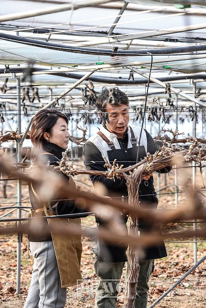 (주민욱 프리랜서)