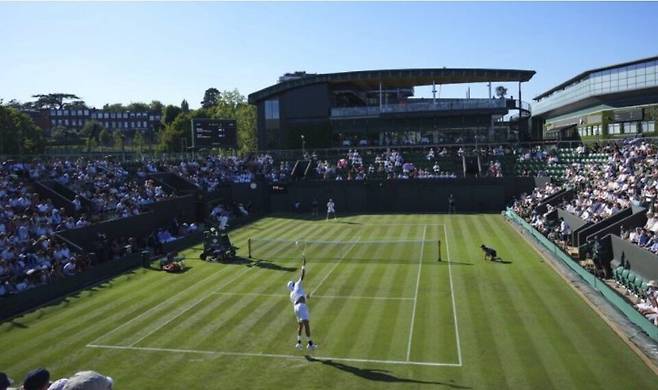 2025 윔블던 경기 모습. 윔블던 홈페이지