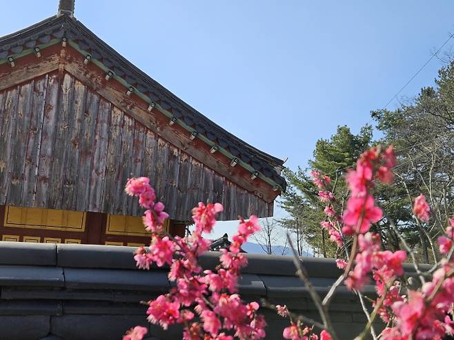 큰 일교차·아침 안개…낮 최고 19도[오늘날씨]=일요일인 오늘(22일) 날씨는 전국 대부분 지역이 구름 많겠으나, 경상권은 밤에 차차 맑아지겠고, 제주도는 대체로 흐리겠다. 아침 최저기온은 -2~8℃, 낮 최고기온은 14~19℃ 가 되겠다. 오후부터 저녁 사이 제주도에 5mm 미만의 빗방울이 떨어지는 곳이 있겠다. 미세먼지 농도는 전 권역이 '보통' 수준을 보이겠다. ⓒbnt뉴스: 오늘날씨, 내일날씨, 주간날씨 예보&nbsp;