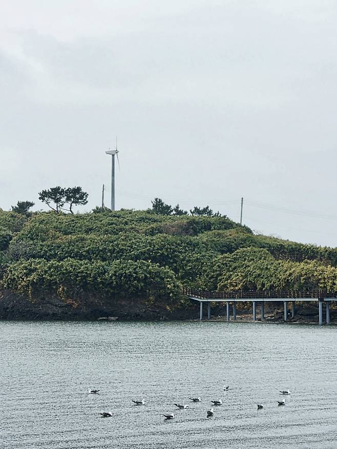 죽도에 설치된 10kW 규모 '미니 풍력발전기' 모습/사진=권다희 기자