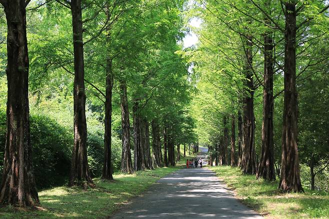 경남수목원. 경남도청 제공