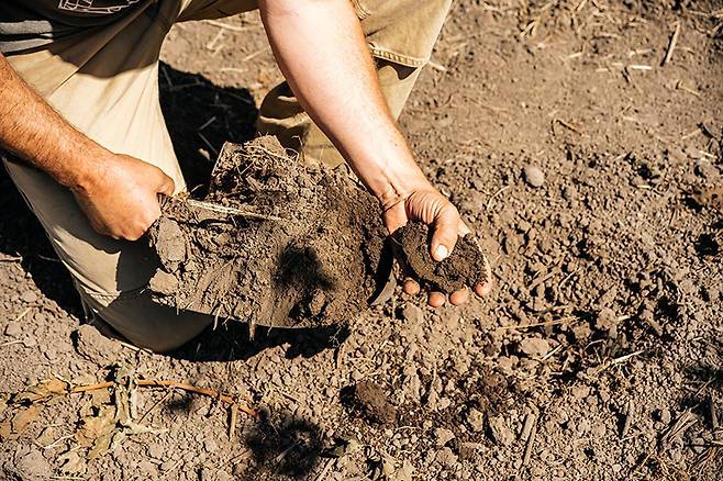 드라이 파밍. 프록스 립 홈페이지