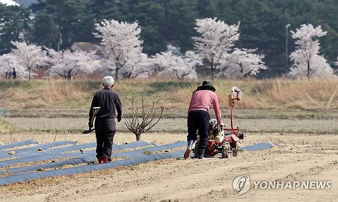 농민들 [연합뉴스 자료사진]