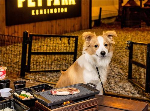 반려동물 동반 바비큐가 포함된 봄맞이 패키지 [이랜드파크 제공]