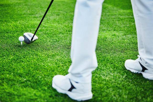 게티이미지뱅크