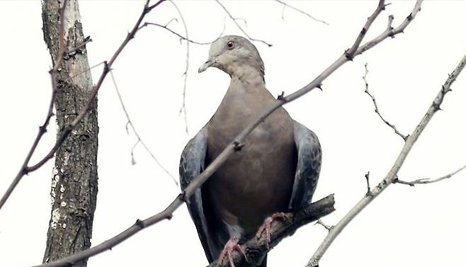 국립생물자원관