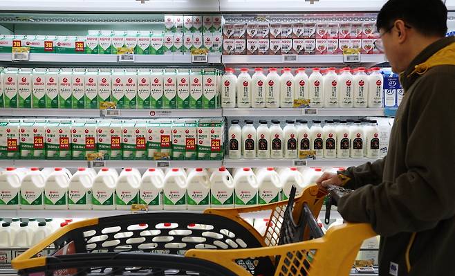 서울 시내의 한 대형마트에서 고객이 우유를 고르고 있다.  /사진=뉴스1