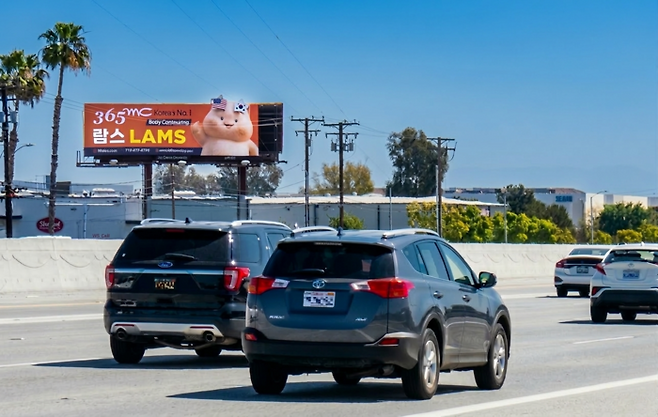 ​지방흡입 특화 의료기관 365mc가 미국 LA 교외의 주요 고속도로 구간에 ‘365mc LA점’의 초대형 빌보드 광고를 설치하고 본격 시장 공략에 나섰다. [365mc]