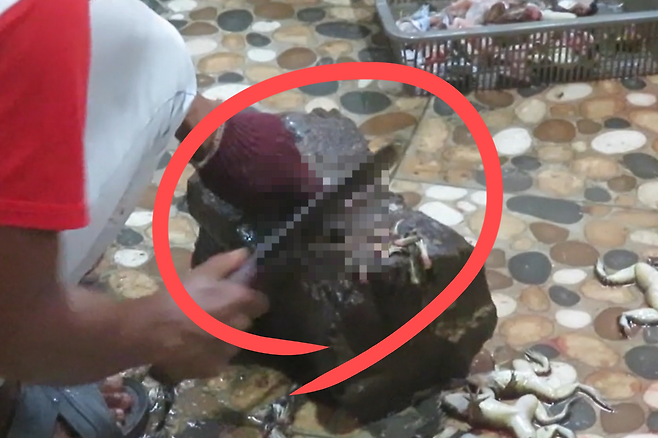 인도네시아의 한 개구리 다리 생산 업체 관계자가 개구리를 손질하고 있다.[PETA아시아 홈페이지 갈무리]