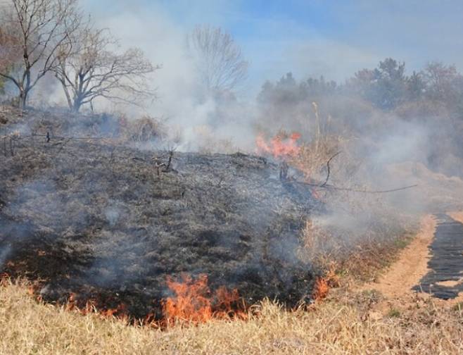 순천 별량면 천마산 산불. 전남소방서 제공