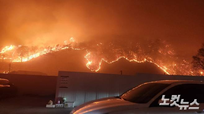 지난 3월 22일 의성에서 시작된 산불이 안동, 청송, 영덕까지 급속히 확산돼 역대 최대의 피해가 발생했다.