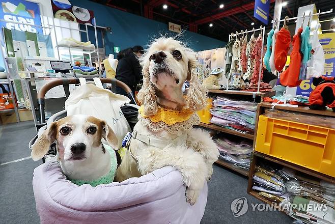 (서울=연합뉴스) 김주형 기자 = 22일 '국제 강아지의 날'을 앞두고 한국펫사료협회 주최로 서울 강남구 대치동 세텍에서 열린 반려동물 산업 박람회 '2026 케이펫페어 세텍'을 찾은 반려인들이 전시장을 둘러보고 있다. 2026.3.22 kjhpress@yna.co.kr