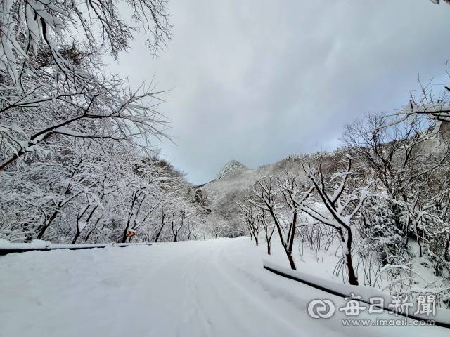 울릉도 설경. 울릉도 내수전전망대 가는 길. 조준호 기자