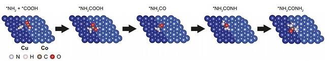 ▲CuCo 이원 금속 촉매에 의해 요소 생산 반응이 진행되는 과정을 나타낸 그림. (자료=Nature Communications, 2026)