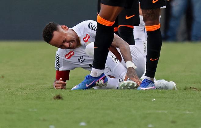 <저작권자(c) 연합뉴스, 무단 전재-재배포, AI 학습 및 활용 금지>