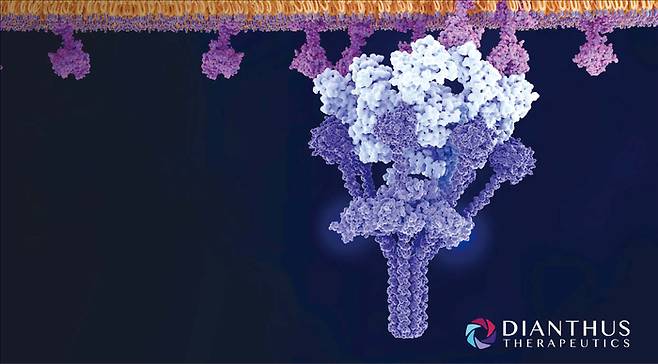 중증 자가면역 질환 치료제를 개발하는 바이오 기업 다이안서스테라퓨틱스가 올해 주가 상승률 90% 이상을 보이며 서학개미 이목을 집중시킨다. 최근 핵심 신약 후보의 임상 성과가 확인되면서다. (다이안서스테라퓨틱스 홈페이지 캡처)