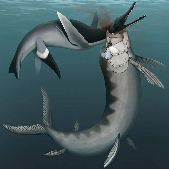 폴리코틸루스의 목을 물어뜯는 크시팍티누스의 복원도. 테네시대 제공