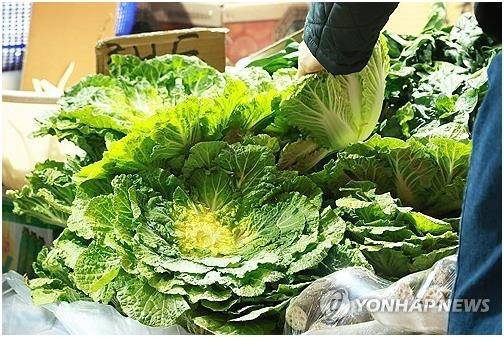 '두쫀쿠' 가고 '봄동비빔밥' 왔다   (서울=연합뉴스) 진연수 기자 = '두바이 쫀득 쿠키'(두쫀쿠)에 이어 '봄동 비빔밥'이 인기를 끌면서 봄 제철 채소인 봄동 가격이 한 달 새 30% 가까이 오른 것으로 나타났다. 농산물유통정보(KAMIS)에 따르면 지난 2일 서울 가락시장 봄동(상 등급) 15kg 평균 도매가는 4만8천841원으로 한 달 전보다도 1만 원 넘게(29%) 올랐다. 지난달 11일엔 같은 등급의 봄동 가격이 6만456원으로 최고점을 찍는 등 최근 한 달간 큰 가격 변동을 보였다. 사진은 4일 서울의 한 시장에서 봄동을 고르는 시민. 2026.3.4
    jin90@yna.co.kr