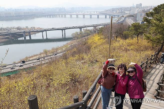 우리의 봄을 기억하자 (서울=연합뉴스) 박동주 기자 = 23일 서울 성동구 응봉산에 개나리가 피어있다. 2026.3.23 pdj6635@yna.co.kr