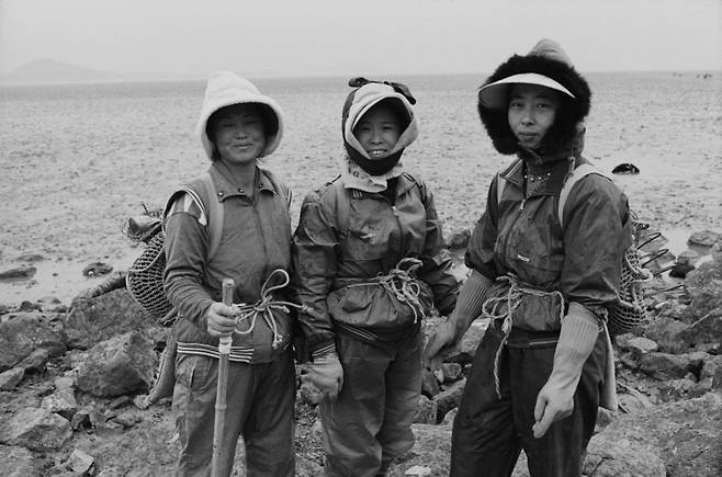 ▲&nbsp;고잔어촌계(1997년). /사진제공=김보섭 작가&nbsp;