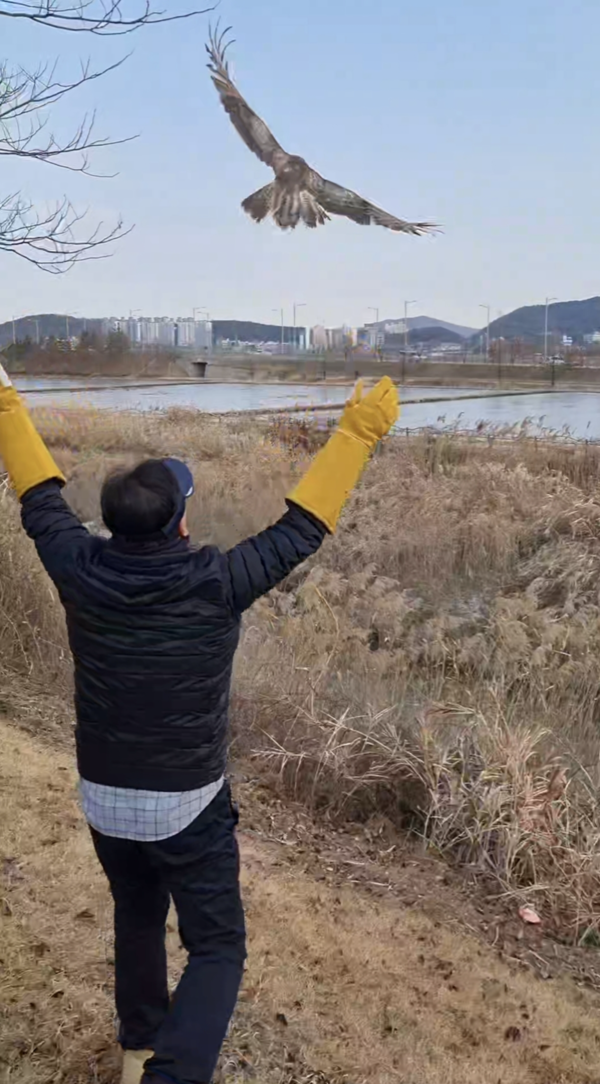 야생동물구조관리센터의 치료를 받고 완쾌돼 자연으로 돌아가는 새. <야생동물구조관리센터 제공>