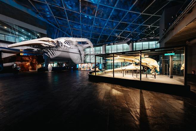 대만 최남단 핑둥현에 위치한 해양생물박물관 내부