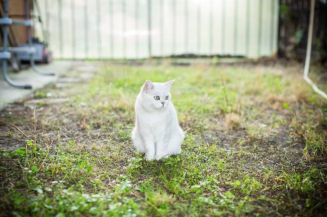 게티이미지뱅크