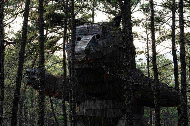 충남 공주시 연미산자연미술공원에 전시된 고요한 작가의 작품 '솔곰'이 숲의 나무 사이로 위용을 들어내고 있다.