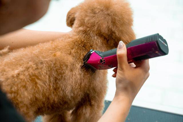 게티이미지뱅크