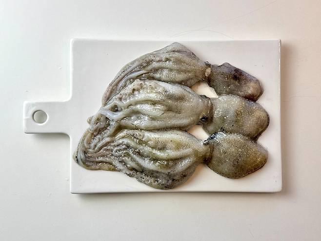 봄 바다에서 건져 올린 제철 별미, 주꾸미. 사진 이정웅