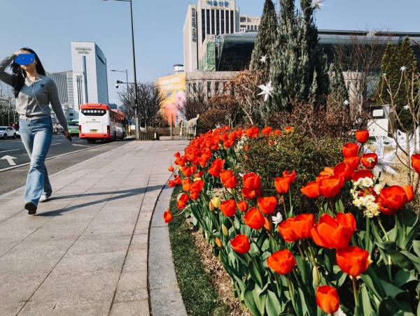 낫싱 폰(4a) 후면 카메라로 서울시청 광장을 촬영했다. 정옥재 기자