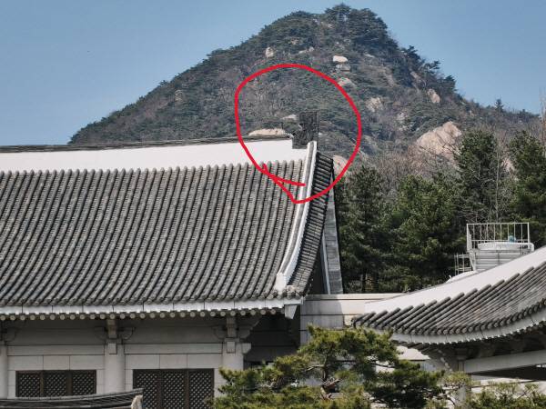 낫싱 폰(4a) 후면 카메라 7배 줌으로 촬영했다. 정옥재 기자