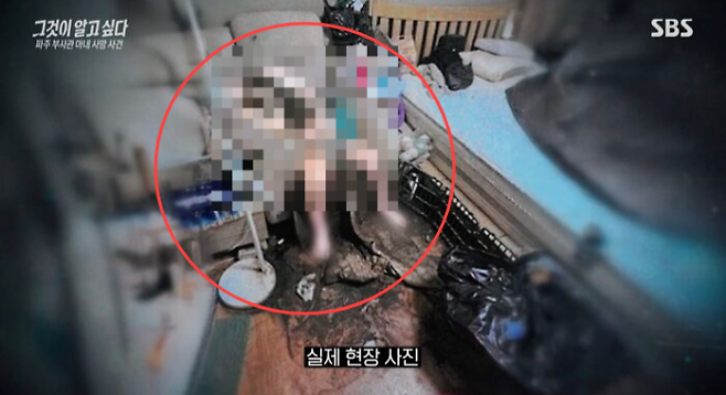 온몸에 구더기가 들끓을 때까지 방치됐다가 숨진 육군 부사관의 아내 A씨가 생전 폭행 피해를 입었을 가능성이 제기됐다. 사진은 11월 17일 구조 당시 A씨의 모습. 2025.12.13 SBS ‘그것이 알고 싶다’ 화면