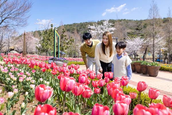 가야테마파크 정원. /김해시