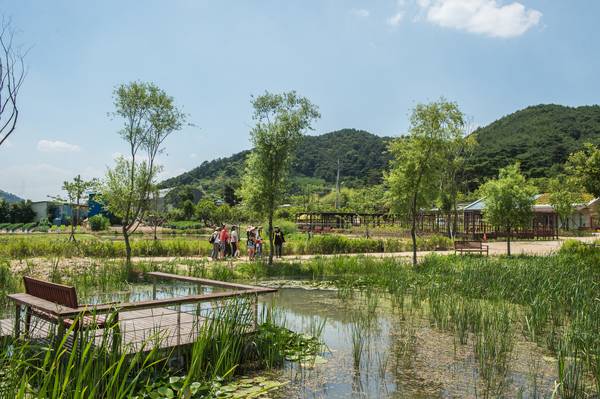 화포천습지생태공원. /김해시