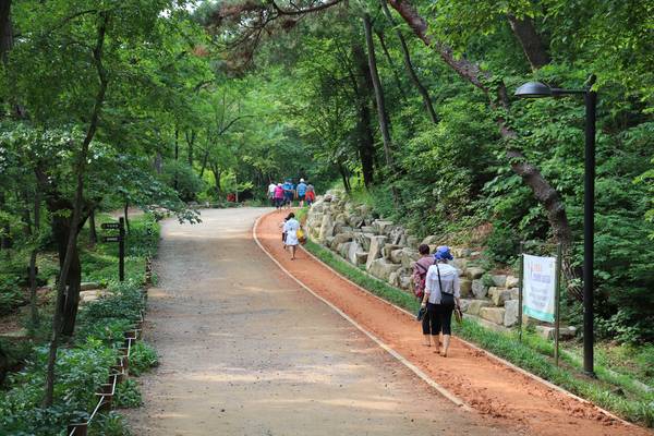 분성산 생태숲 황톳길. /김해시